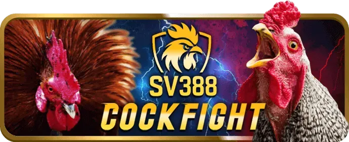 Người chơi đang phân tích chiến lược nổ hũ tại 333win